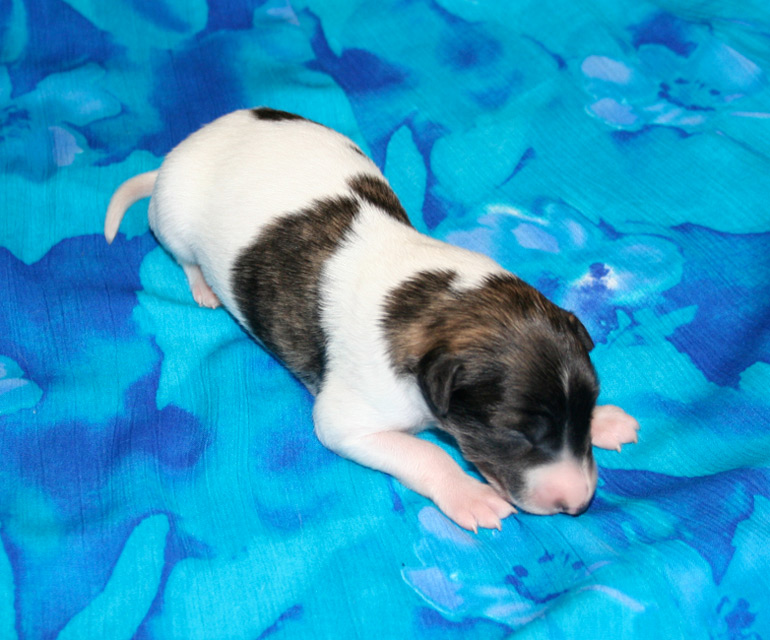 Surf Spots - Boy 2 Front